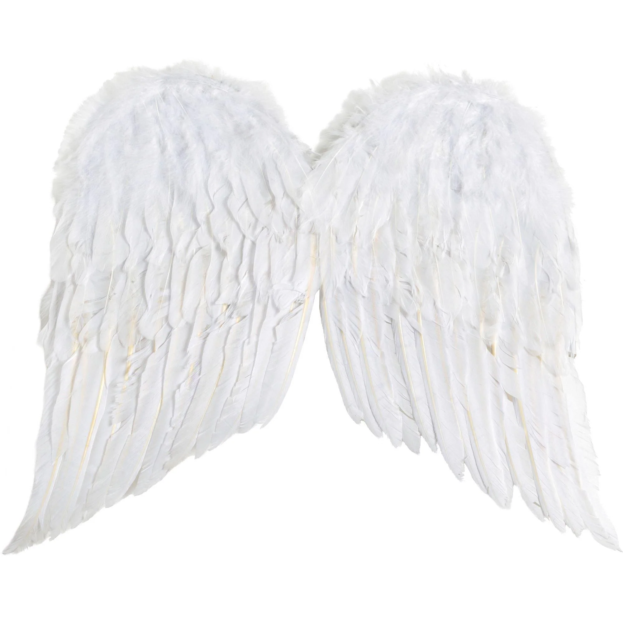 White Angel Wings