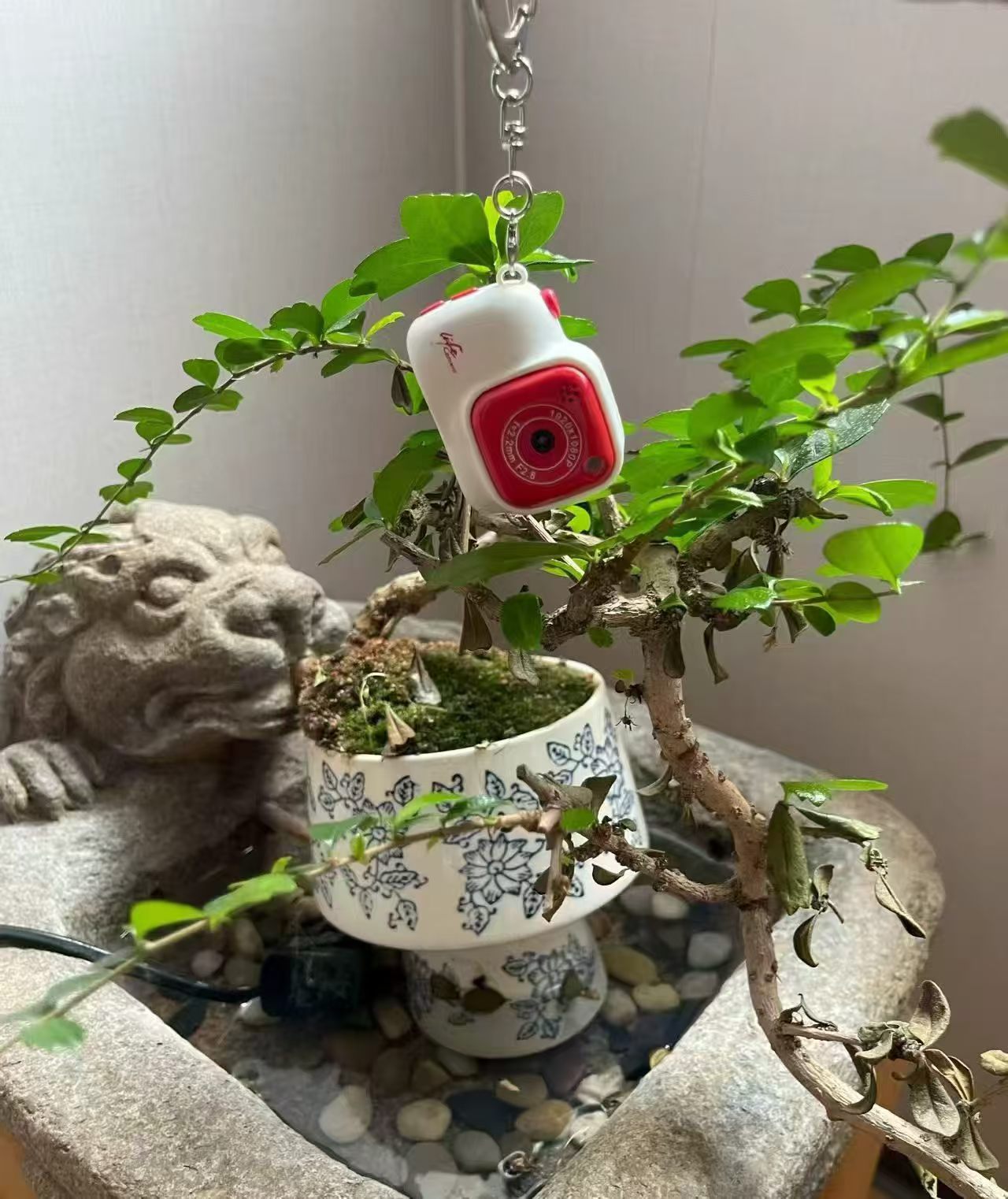 A Tiny Camera That Captures Big Moments