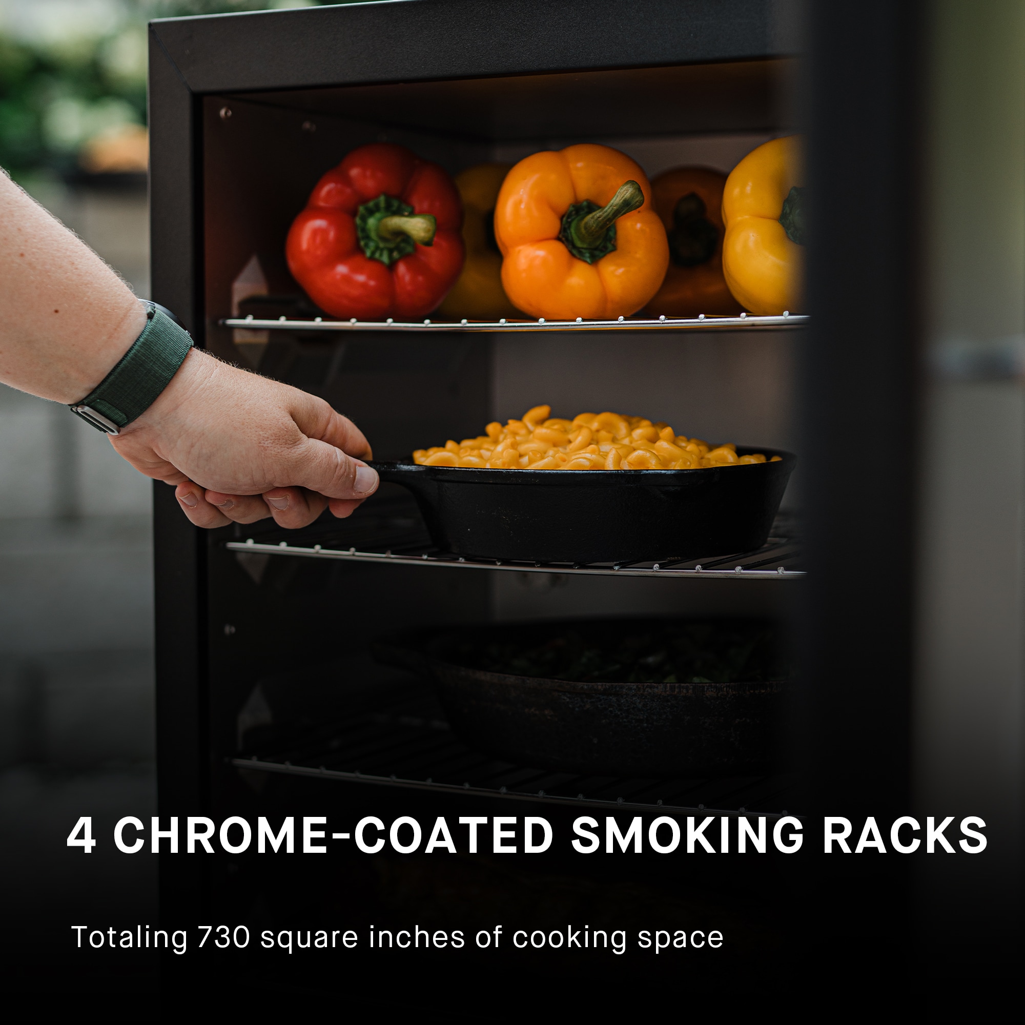 Masterbuilt 730-Sq. in Black Gas Smoker