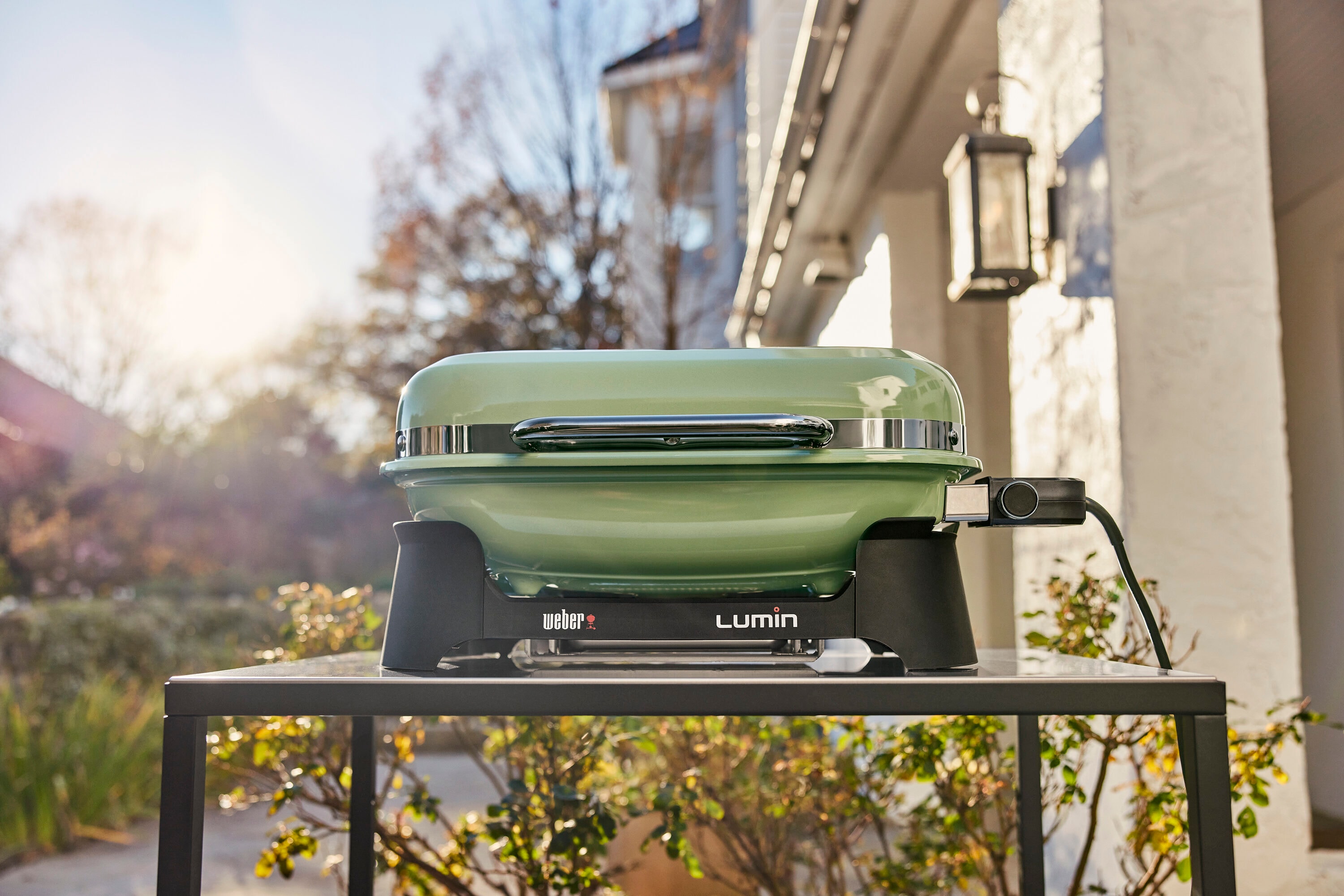 Weber Lumin Full Size 1560 -Watt Light Green Electric Grill
