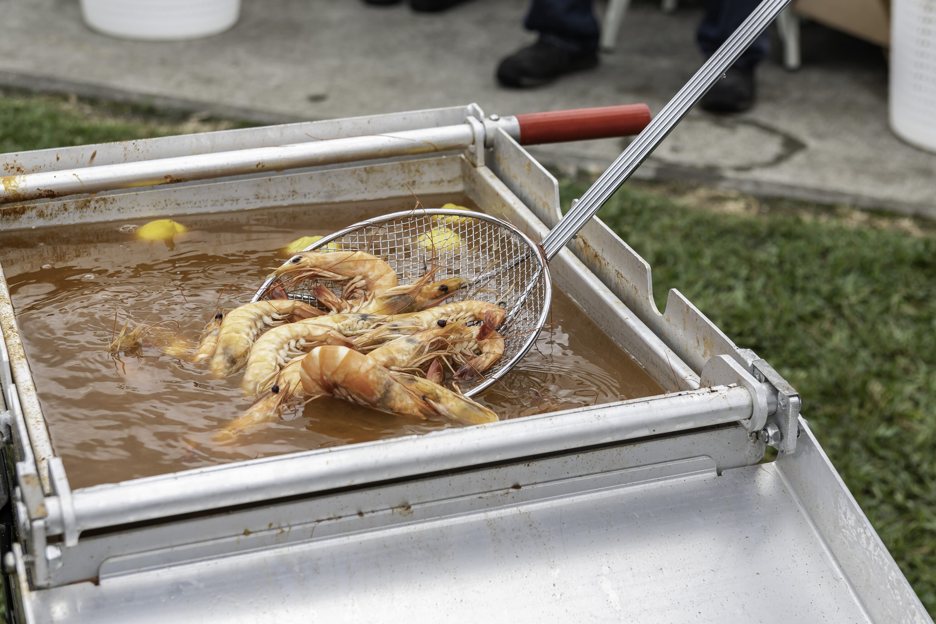 King Kooker Nickel-plated steel Skimmer