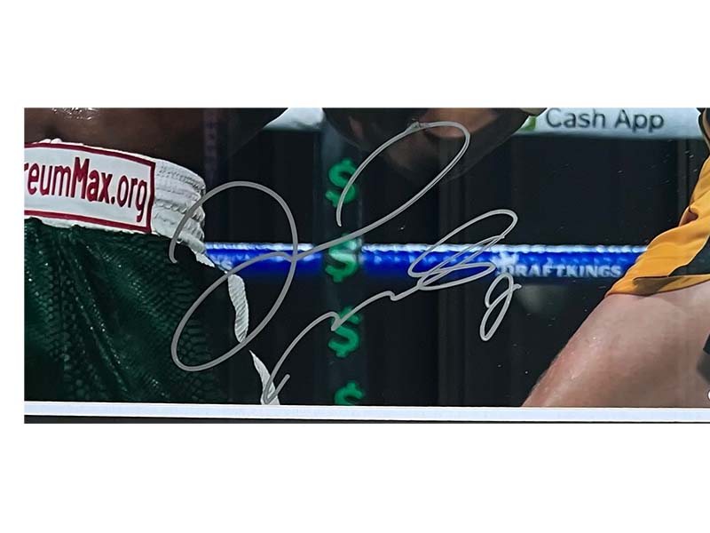 Floyd Mayweather Jr. Autographed 16x20 Framed Photo Vs Logan Paul JSA