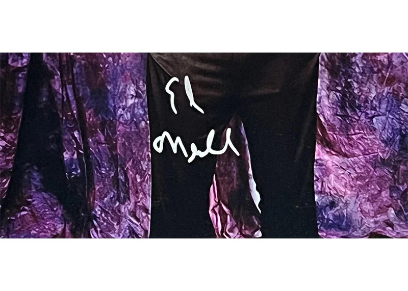 Ed O��neill Al Bundy Signed Married With Children 8x10 Photo JSA