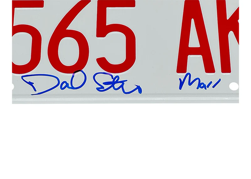 Daniel Stern Signed Illinois License Plate 