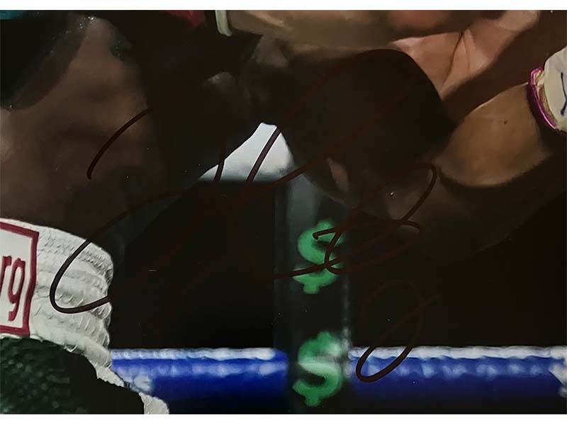 Floyd Mayweather Jr. Autographed 16x20 Photo Vs Logan Paul JSA