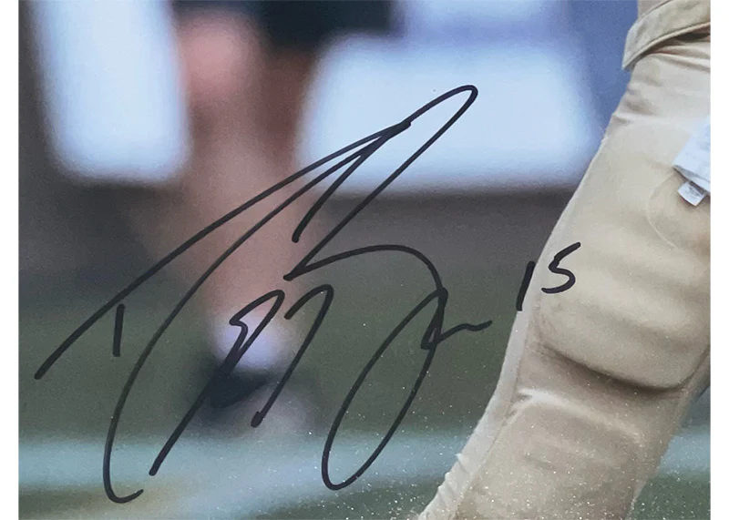 Drew Brees Signed Purdue Boilermakers Framed Photo?29x23 Schwartz