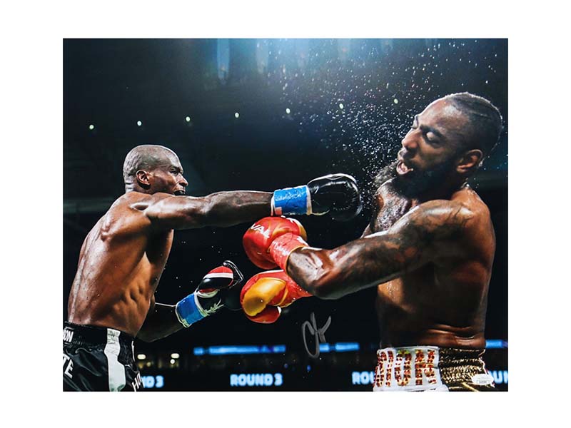 Chad 'Ochocinco' Johnson Signed Boxing Photo With Brian Maxwell 16x20 (JSA)