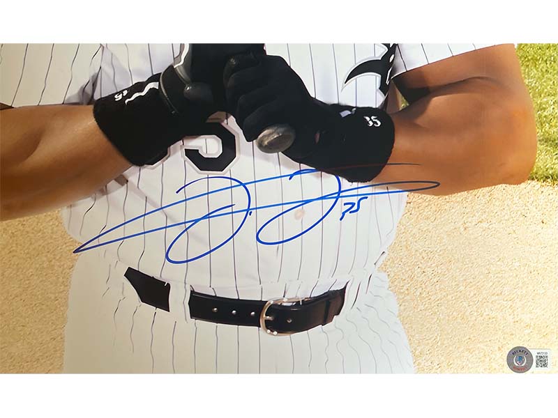 Frank Thomas Signed Chicago White Sox 16x20 photo (Beckett)