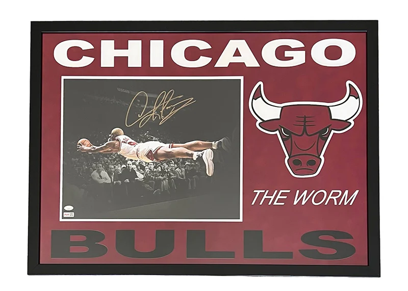 Dennis Rodman Signed Chicago Bulls 28x38 Framed Photo JSA