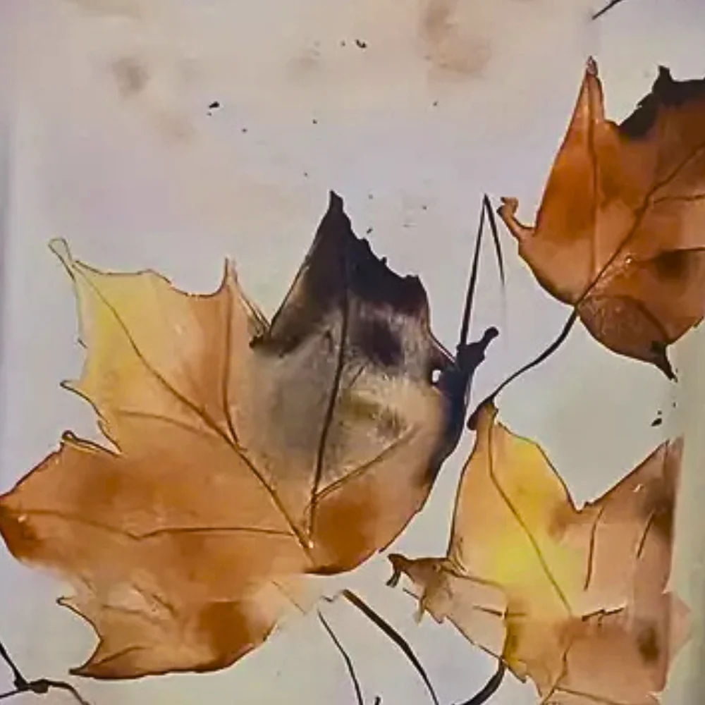 Elegant og Bl?d Tr?je til Kvinder i Moderne Design