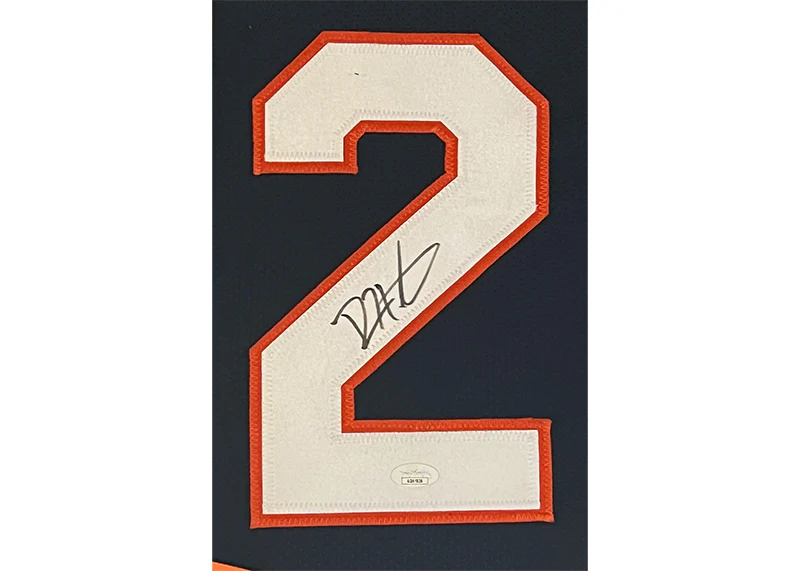 Devin Hester Autographed Chicago Bears 3D Logo Framed Jersey 35��x44��(JSA)