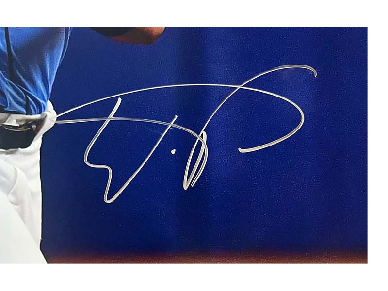 Wander Franco Tampa Bay Rays Autographed 16x20 Photo JSA