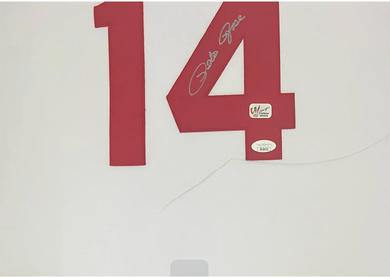 Pete Rose Signed Cincinnati Stats 32x36 Framed Baseball Jersey JSA