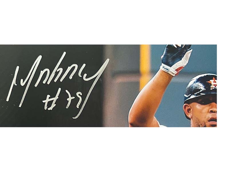 Jos�� Abreu Autographed Houston Astros 16x20 Photo Beckett