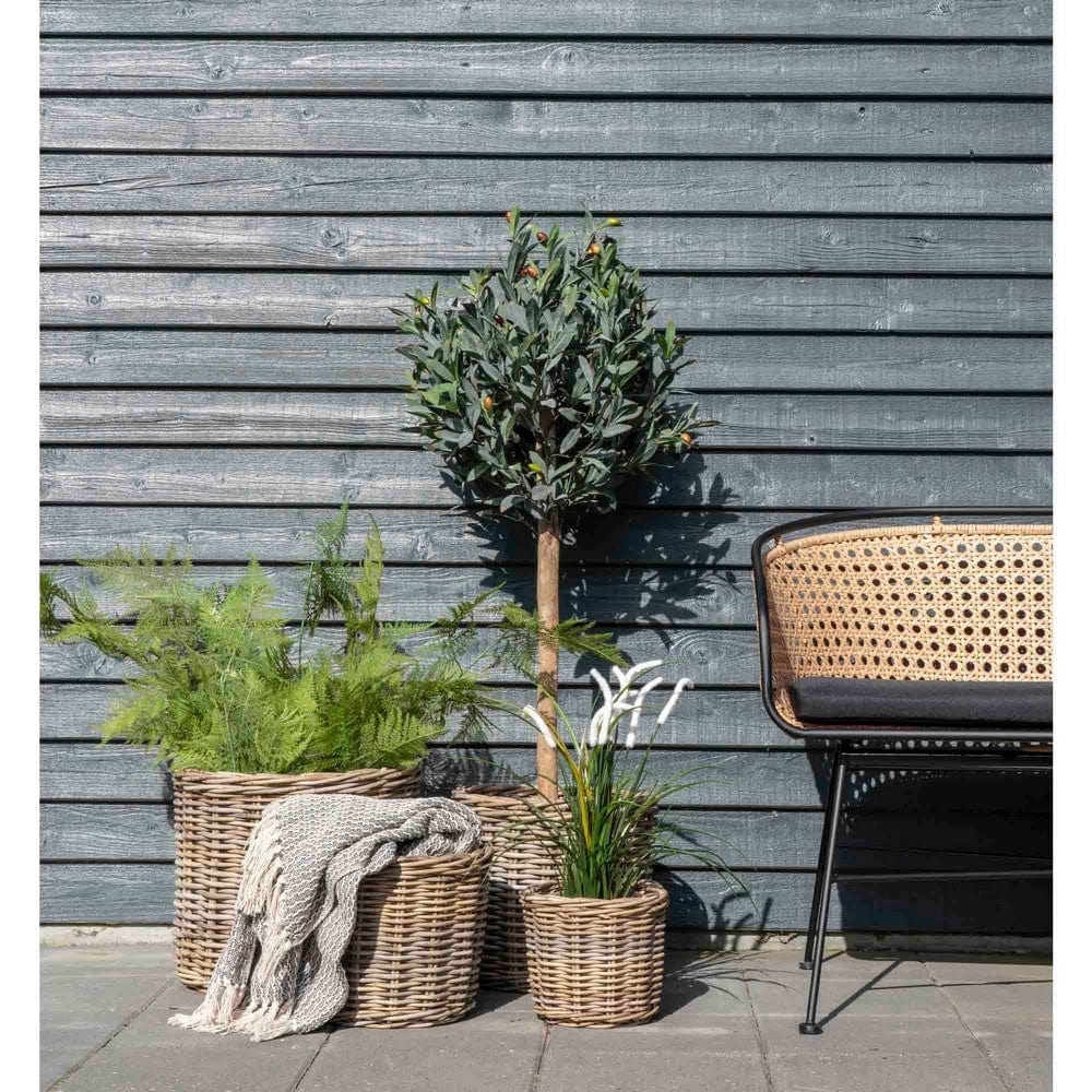 House Nordic Korg Bogor Kubu Rotting 4-pack