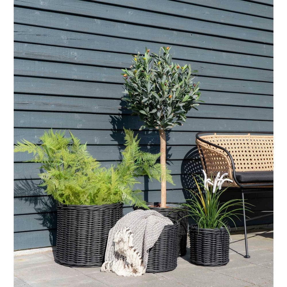 House Nordic Korg Bogor Svart Rotting 4-pack