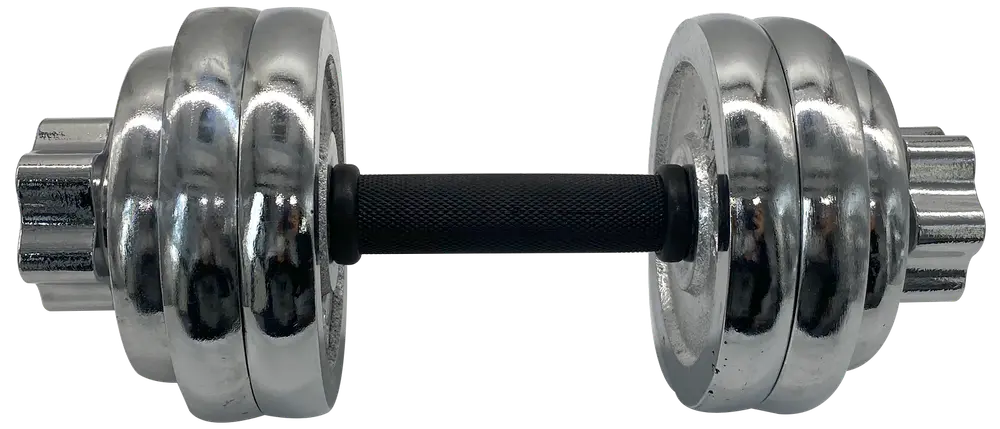 Hantel krom 15 kg