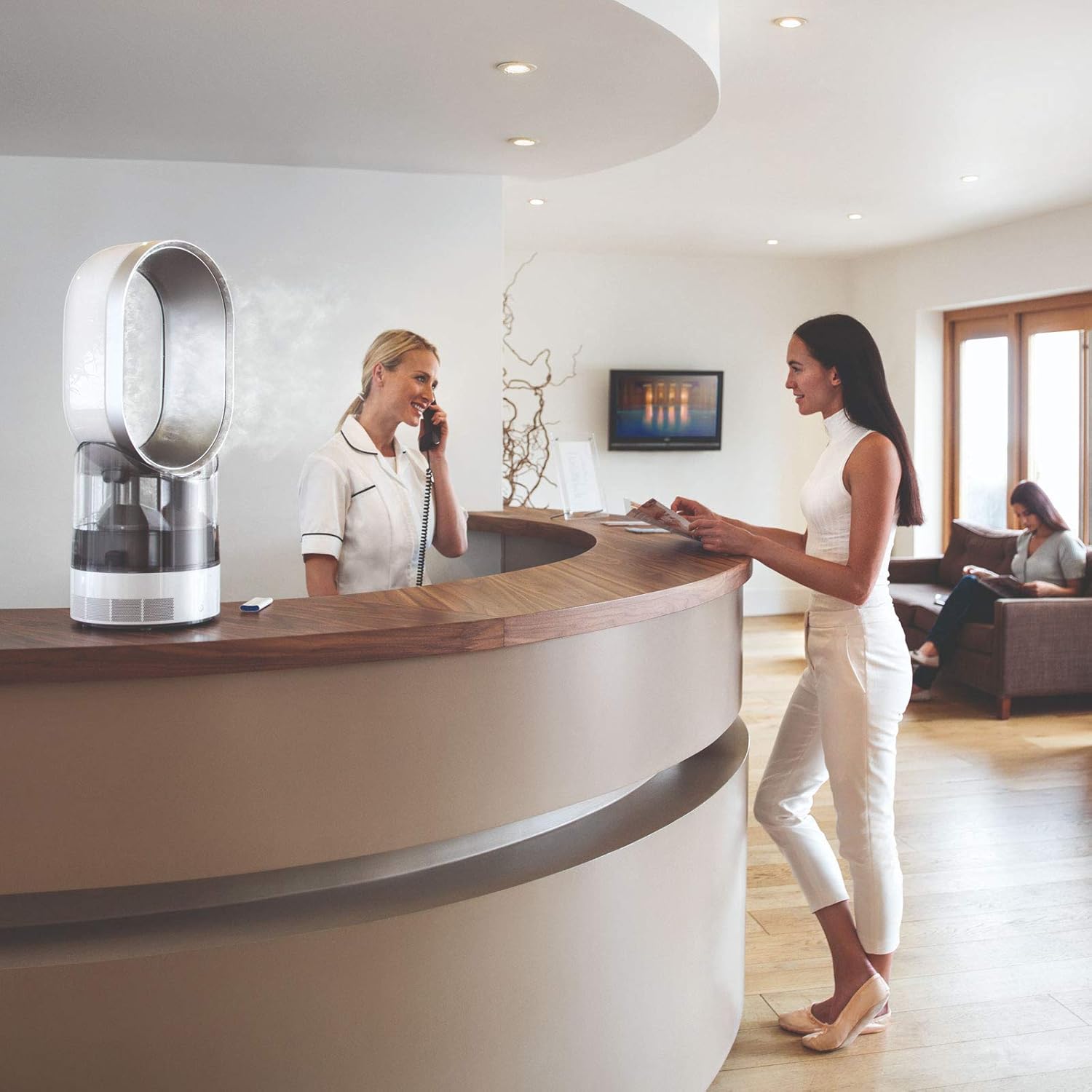 Dyson Hot+Cool Jet Focus AM09 - High Performance Cooling Fan and Fan Heater (White/Silver)