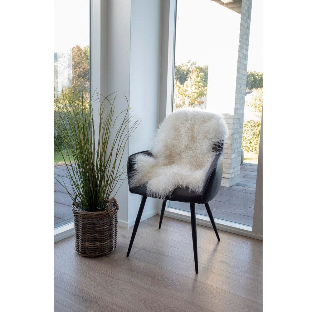 House Nordic Lammskinn Mongoliskt Vit