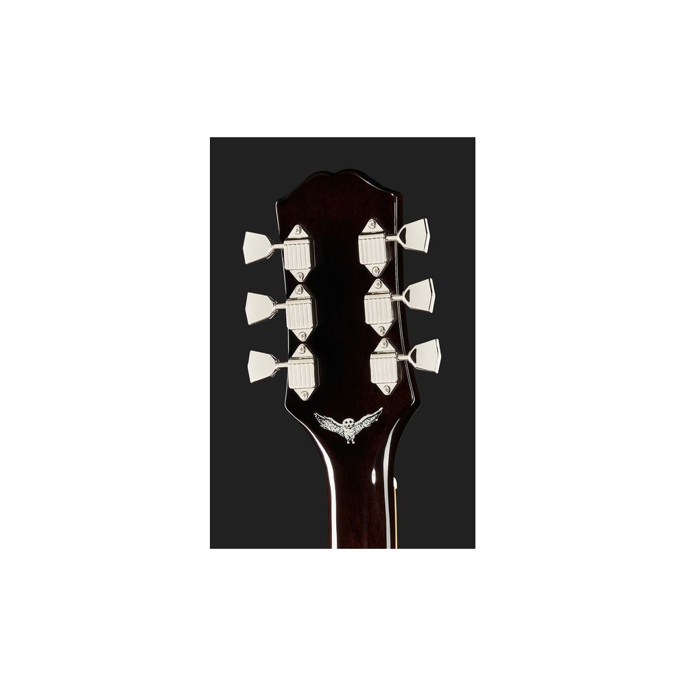 Epiphone Jim James ES