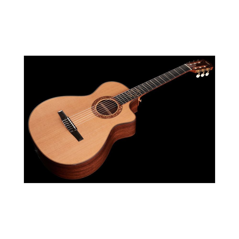 Taylor Jason Mraz Signature – Thomann Ireland