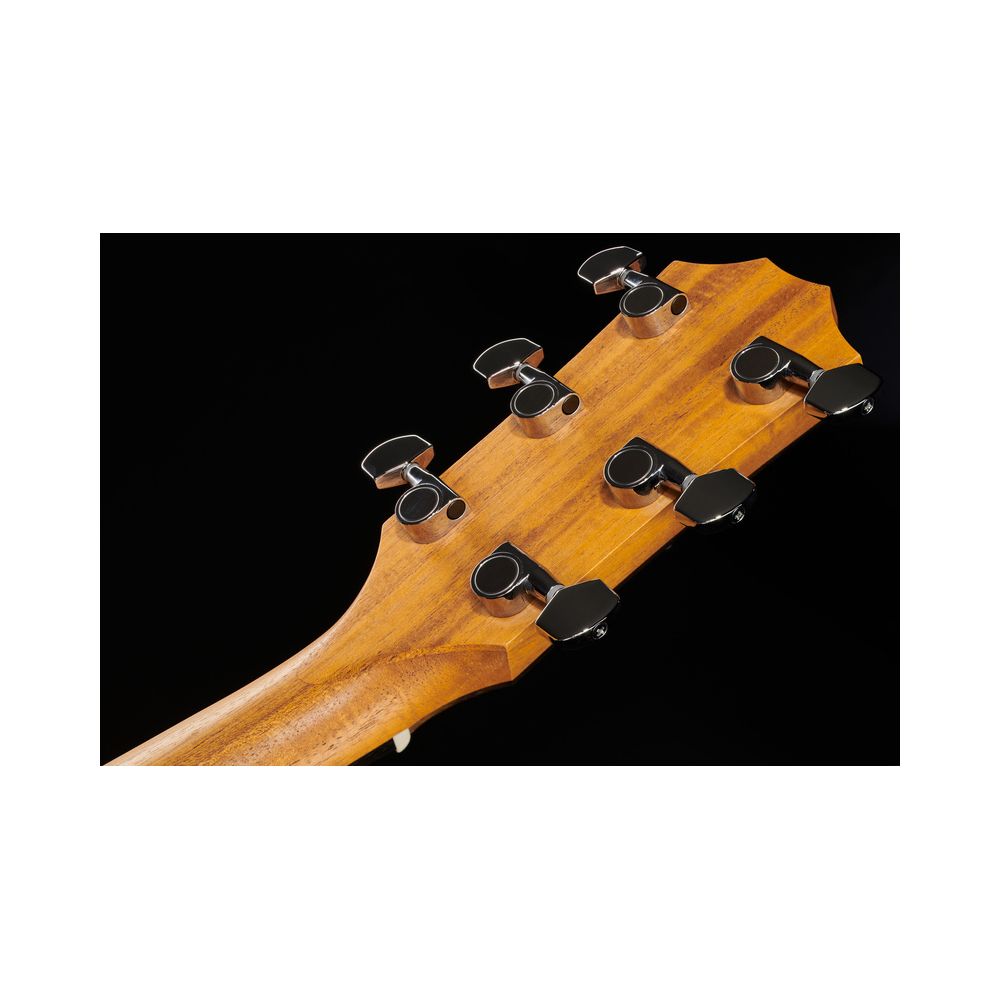 Taylor 212ce Spruce/Walnut – Thomann Ireland