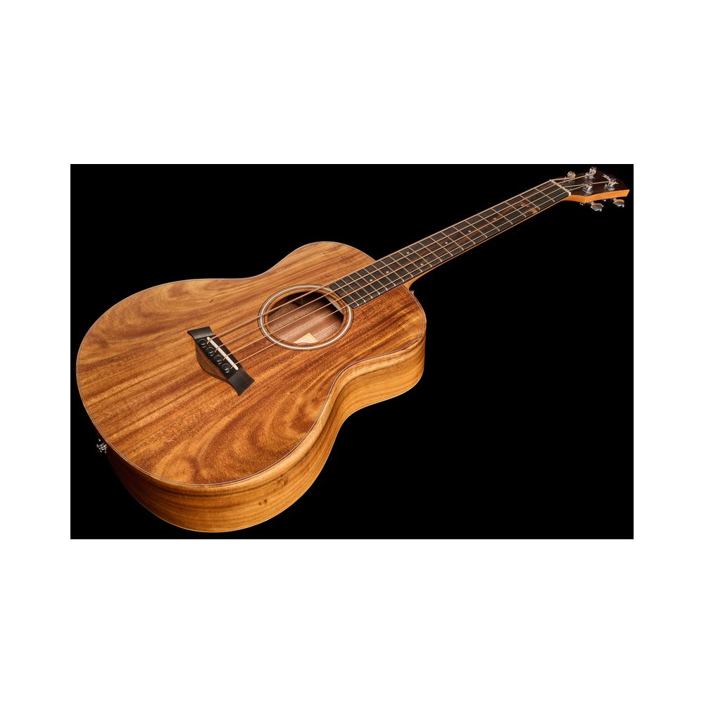 Taylor GS Mini
