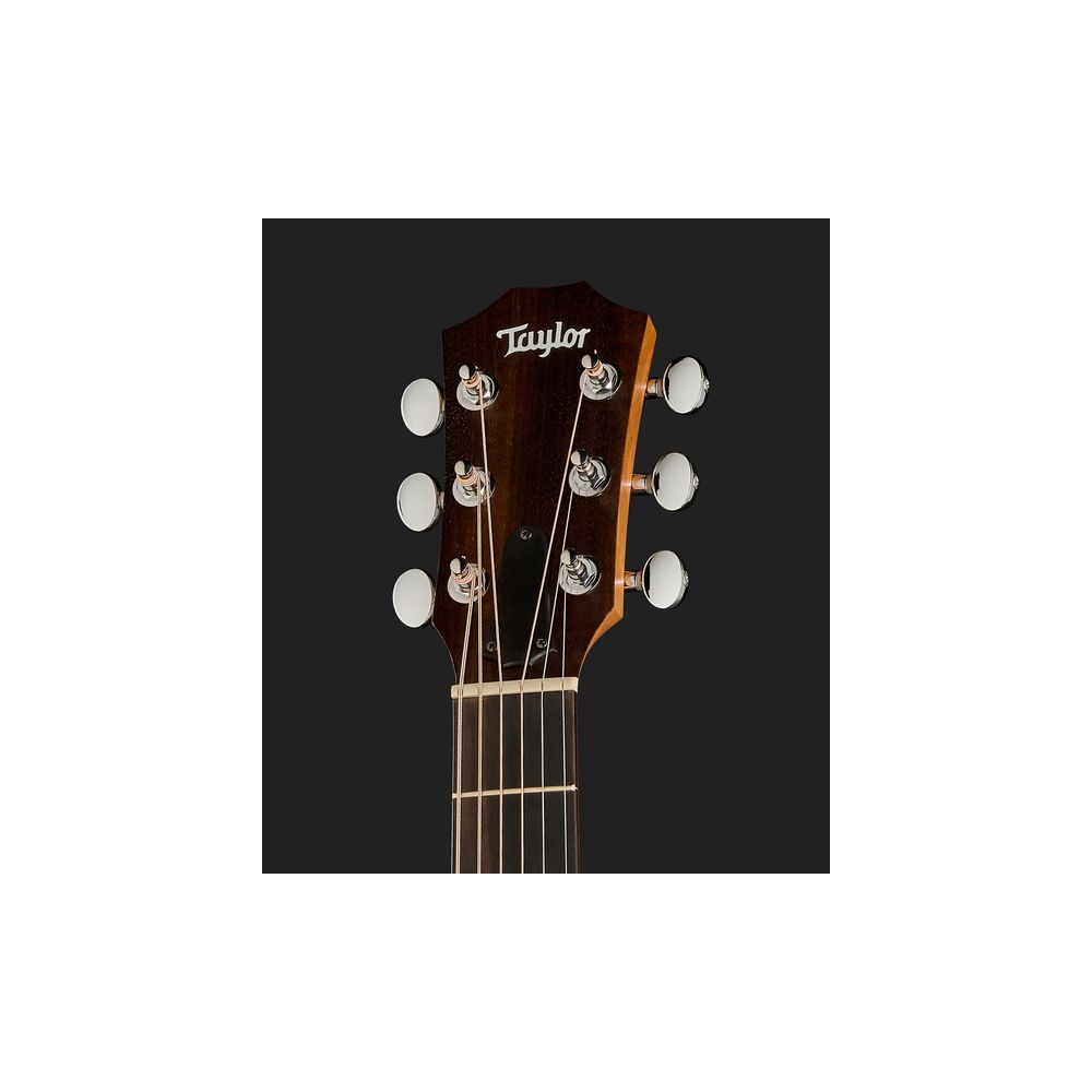 Taylor GS Mini