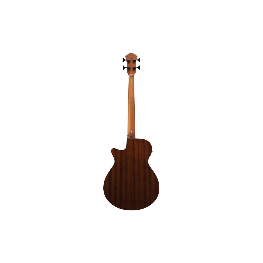 Ibanez AEGB24FE