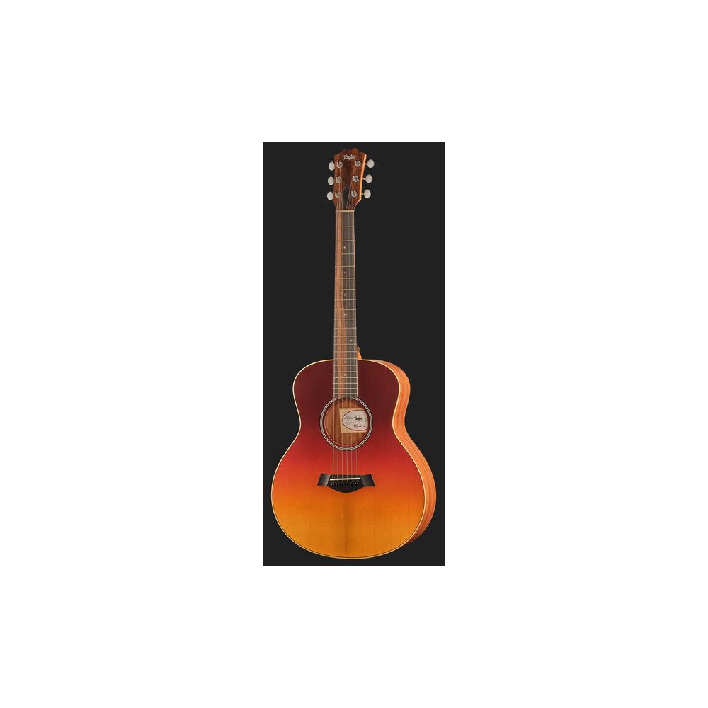 Taylor GS Mini