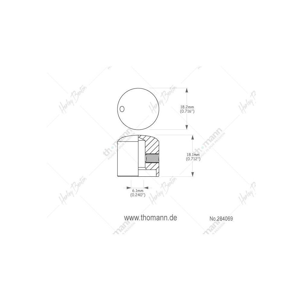 Harley Benton Parts T