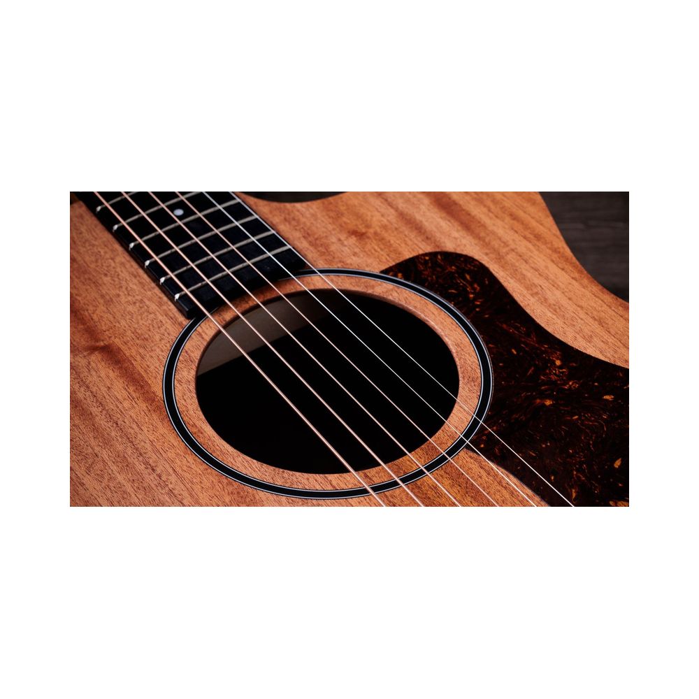 Taylor 24ce – Thomann Ireland