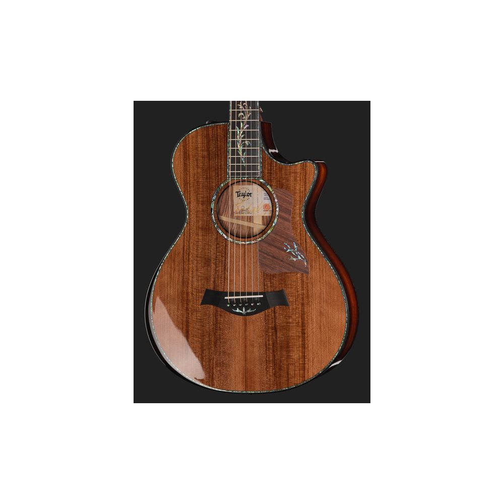 Taylor PS12ce 12 Fret Honduran RW – Thomann Ireland
