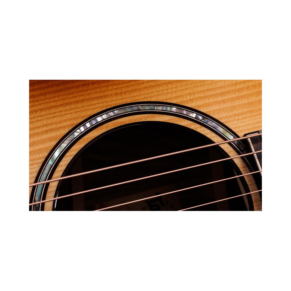 Taylor Builder´s Ed. 814ce Adirondack – Thomann Ireland