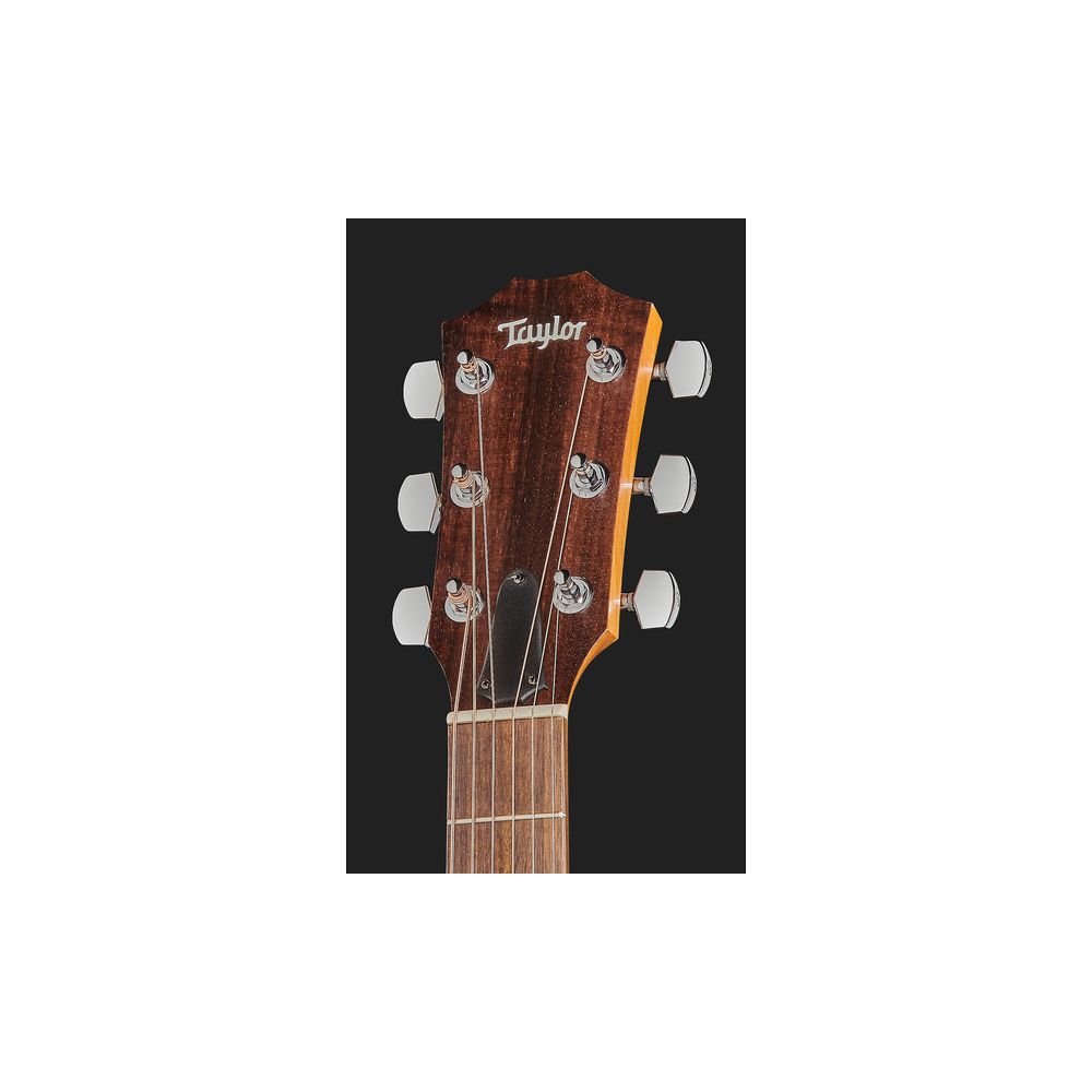 Taylor Academy Series 10e Walnut/Spru – Thomann Ireland