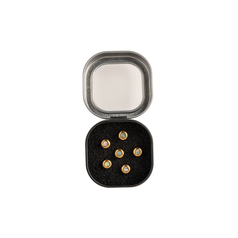 Martin Guitar Bridge Pin Liquid Metal Gold – Thomann Ireland