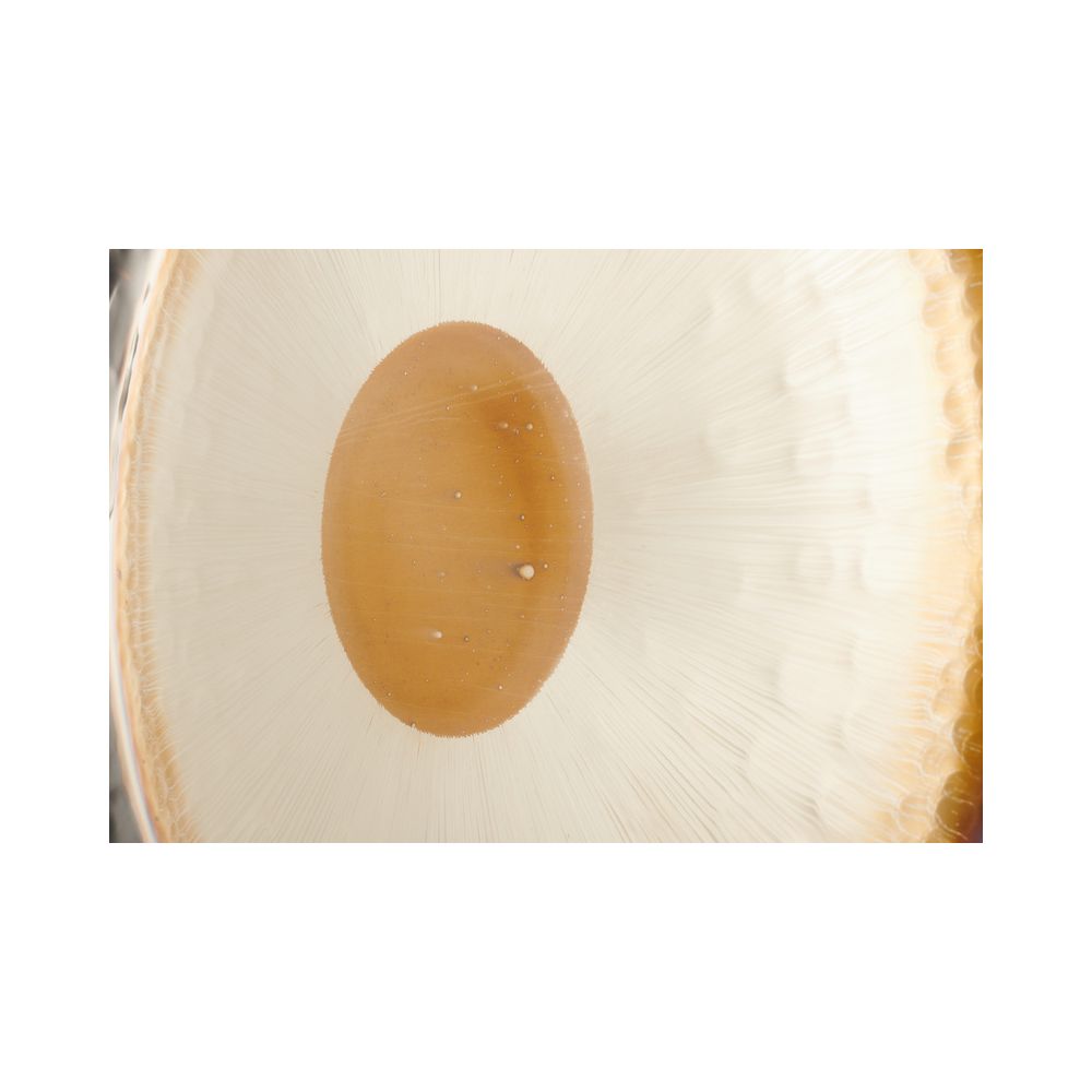 Thomann 32"/81cm Planet Gong Saturn – Thomann Ireland