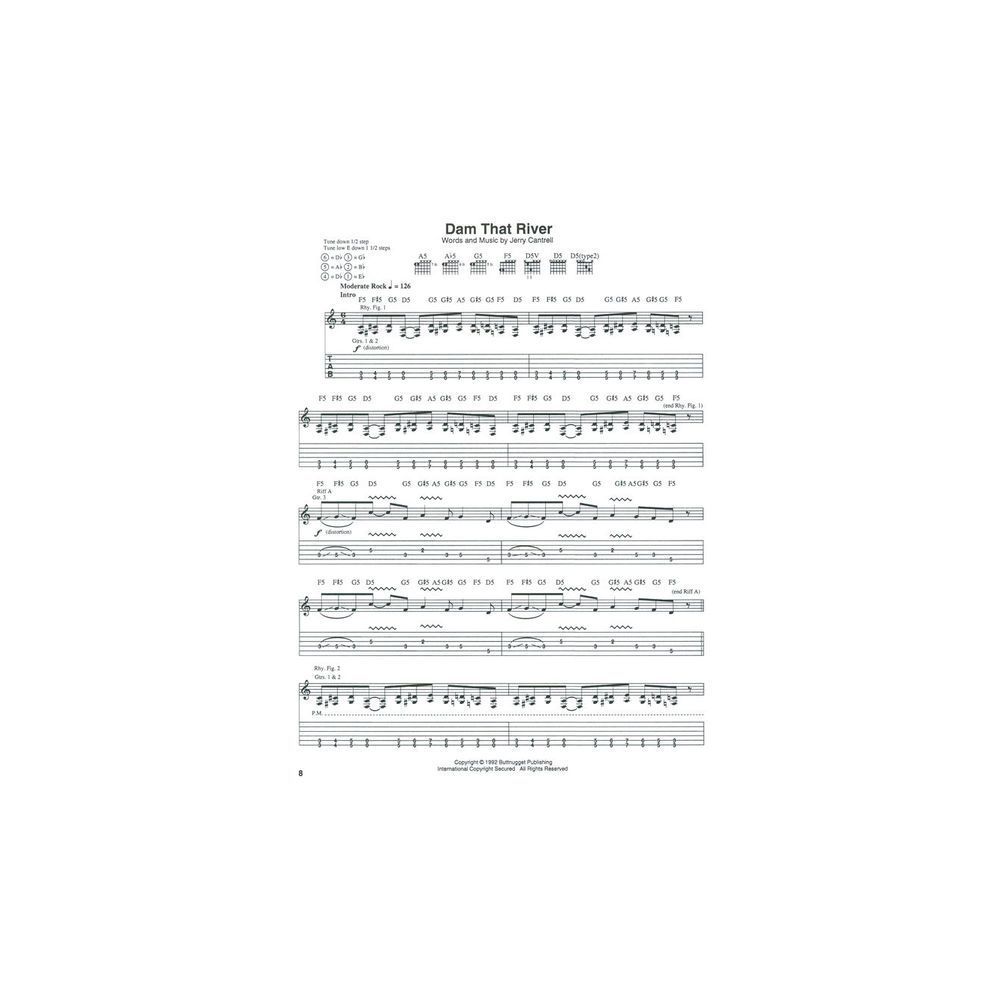 Hal Leonard Alice In Chains Dirt – Thomann Ireland