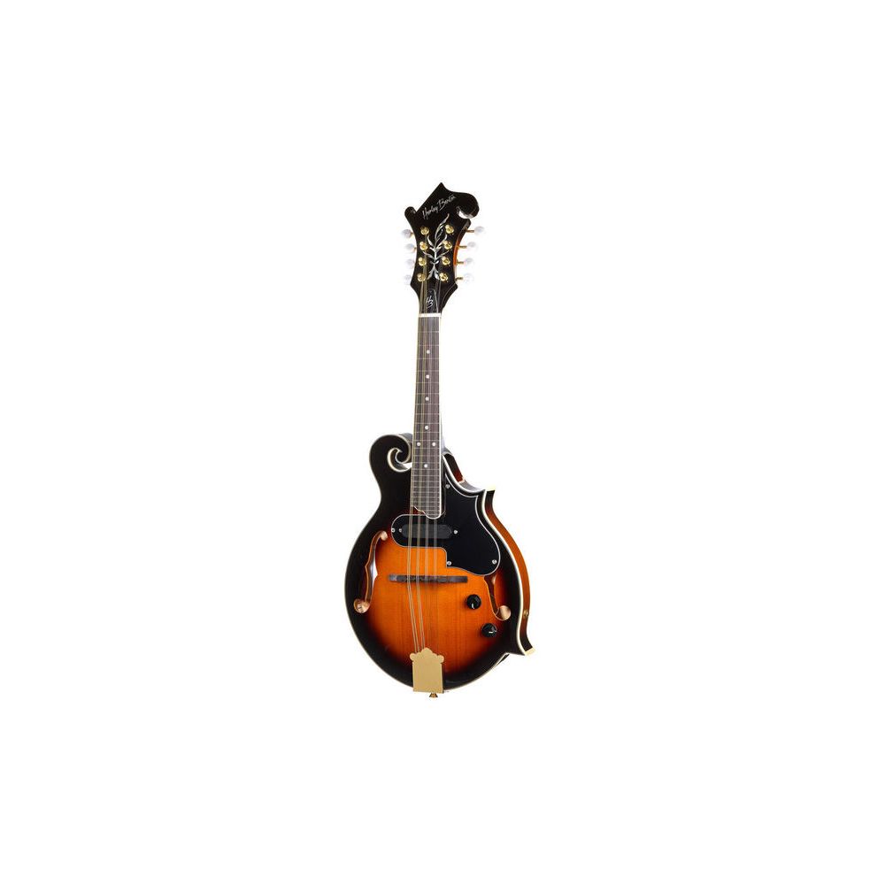 Hamaril Mandolin Set – Thomann Ireland