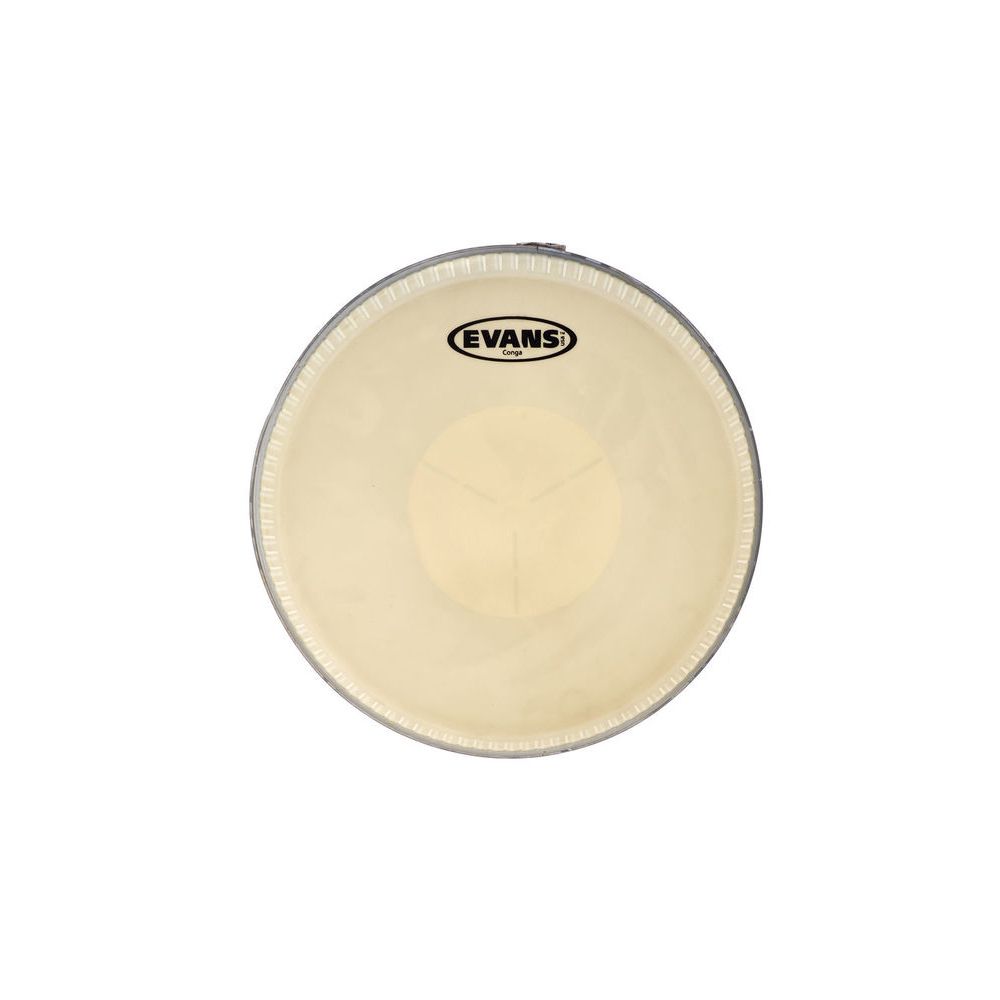 Evans EC1100E – Thomann Ireland