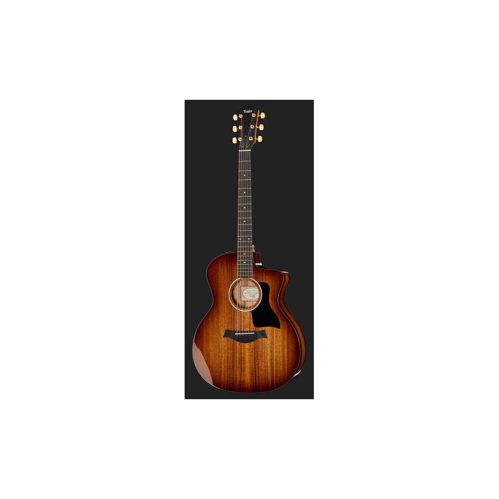 Taylor 224ce
