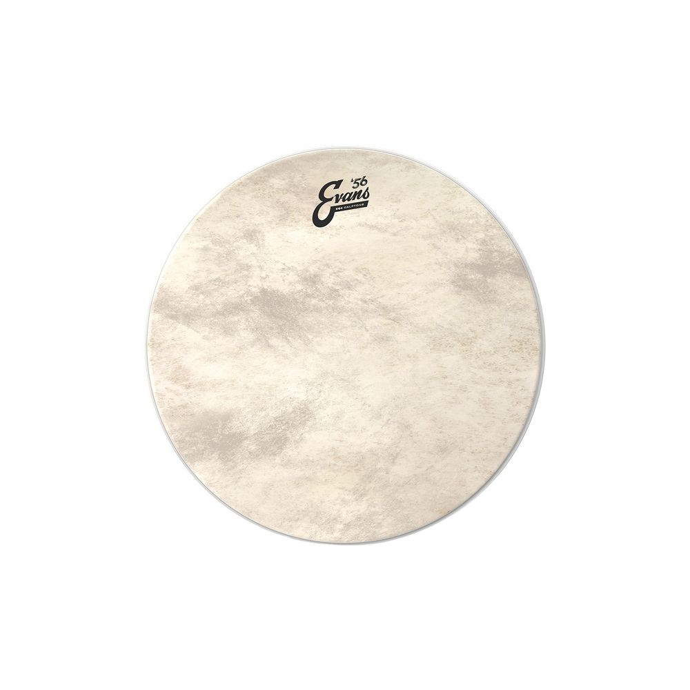 Evans 18" EQ4 Calftone Bass Drum – Thomann Ireland