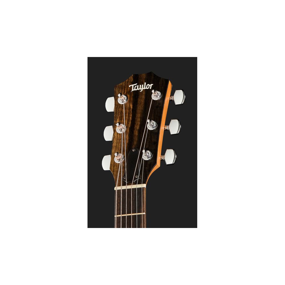 Taylor 110ce Sapele – Thomann Ireland