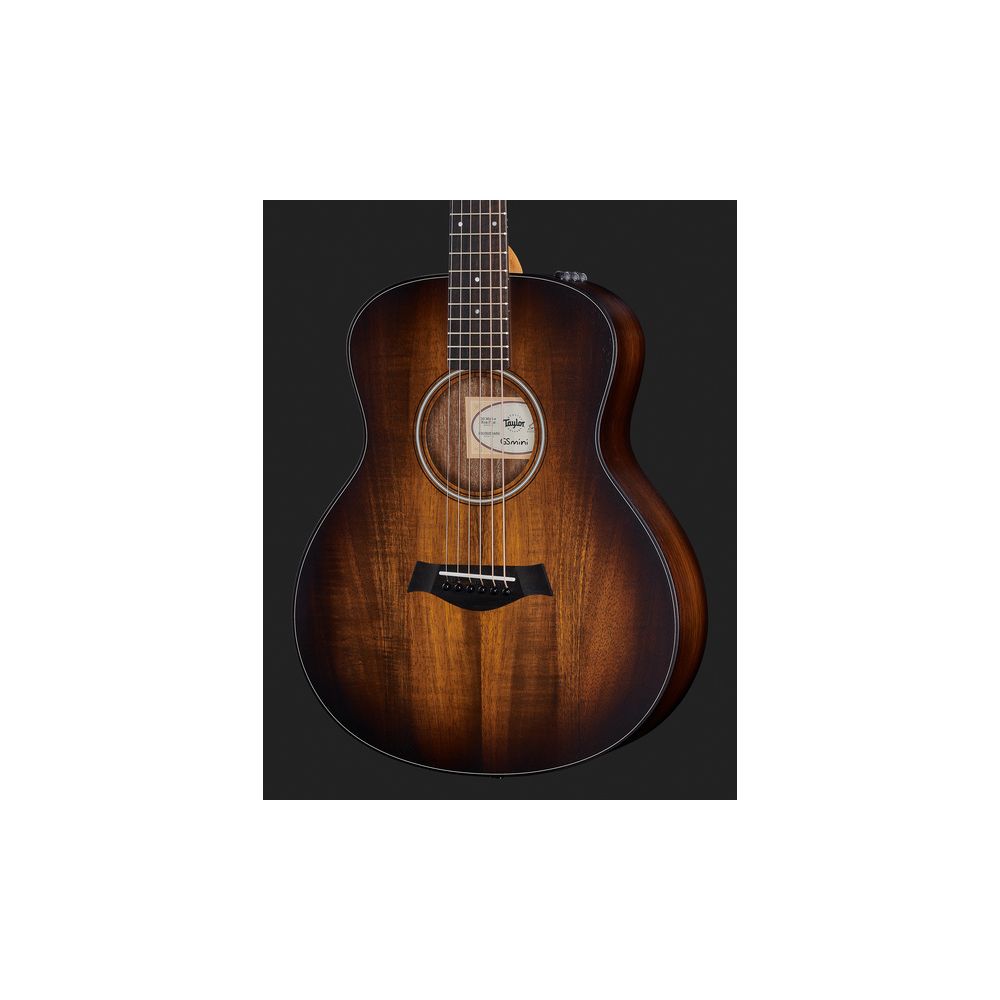 Taylor GS Mini