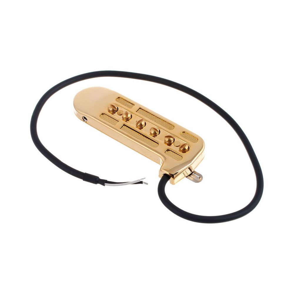 DeArmond Rhythm Chief 1100 – Thomann Ireland