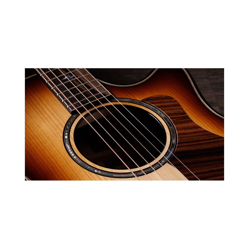 Taylor Builder´s Ed. 814ce Adirondack – Thomann Ireland