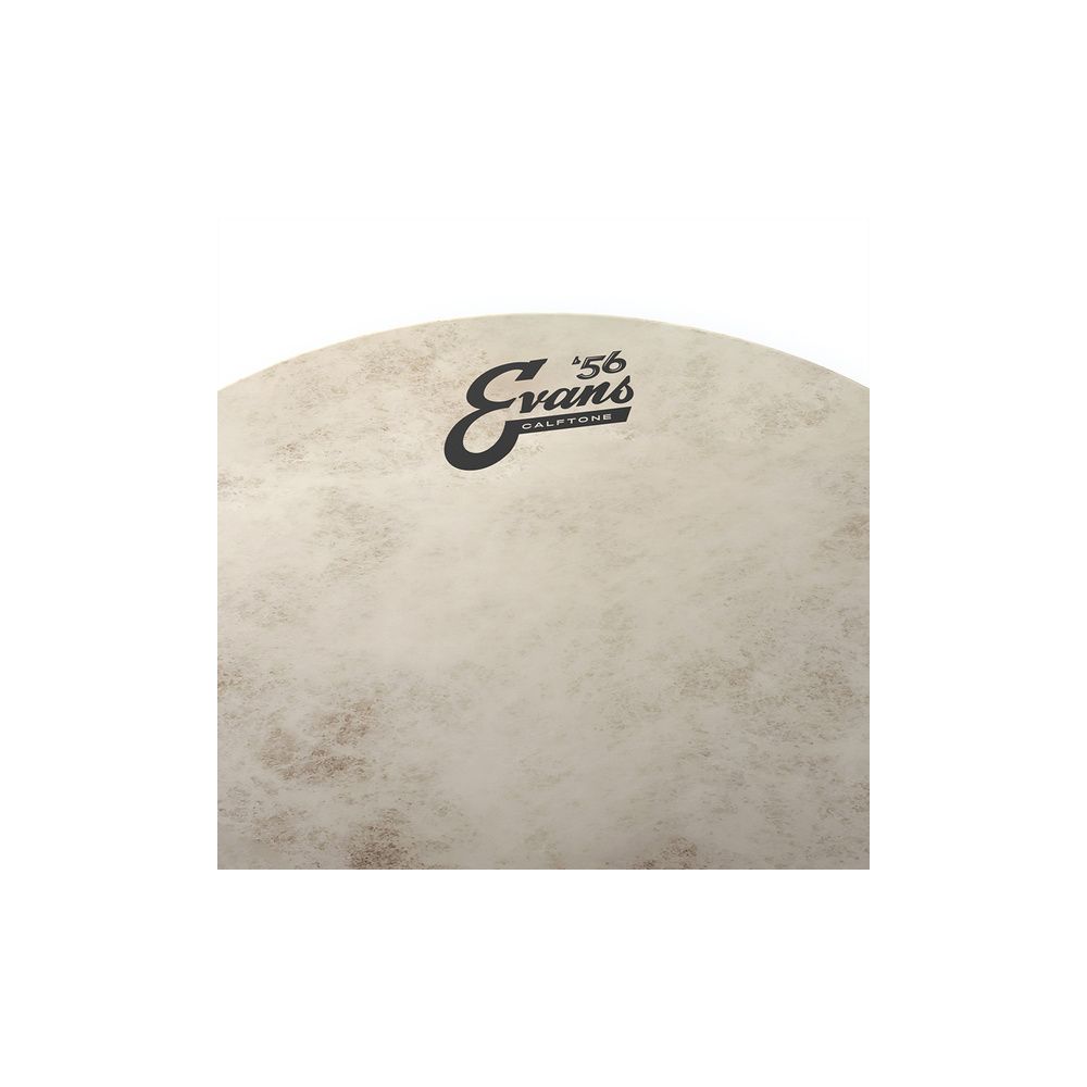 Evans 16" Calftone Bass / Tom – Thomann Ireland