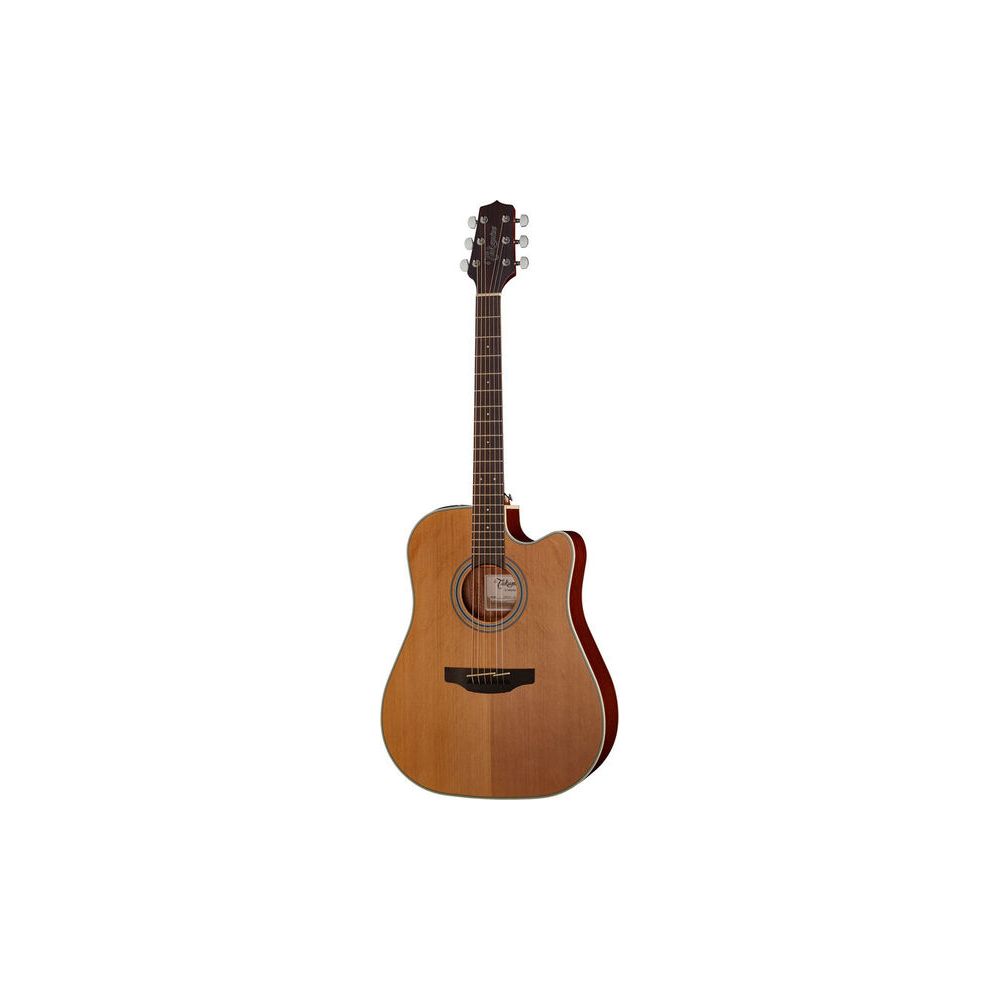 Takamine GD20CE