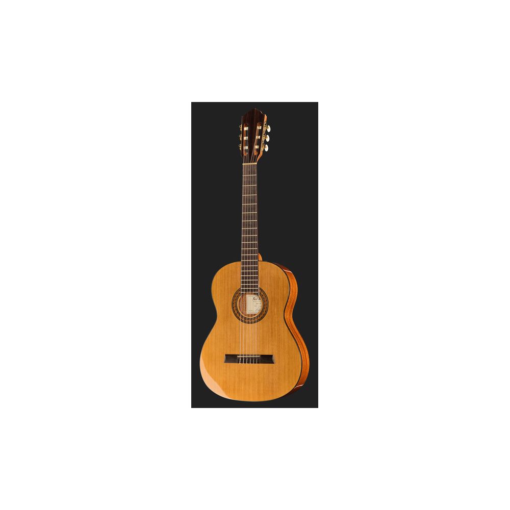 Höfner HZ25 – Thomann Ireland