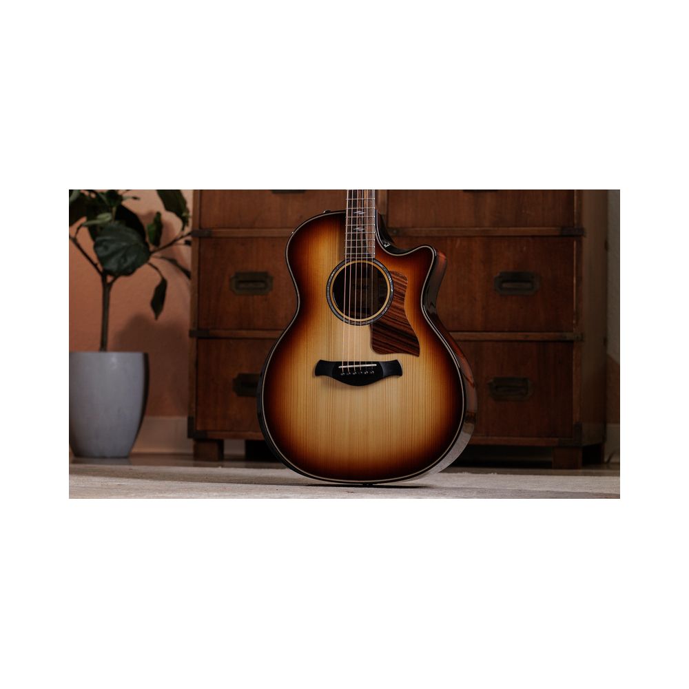 Taylor Builder´s Ed. 814ce Adirondack – Thomann Ireland